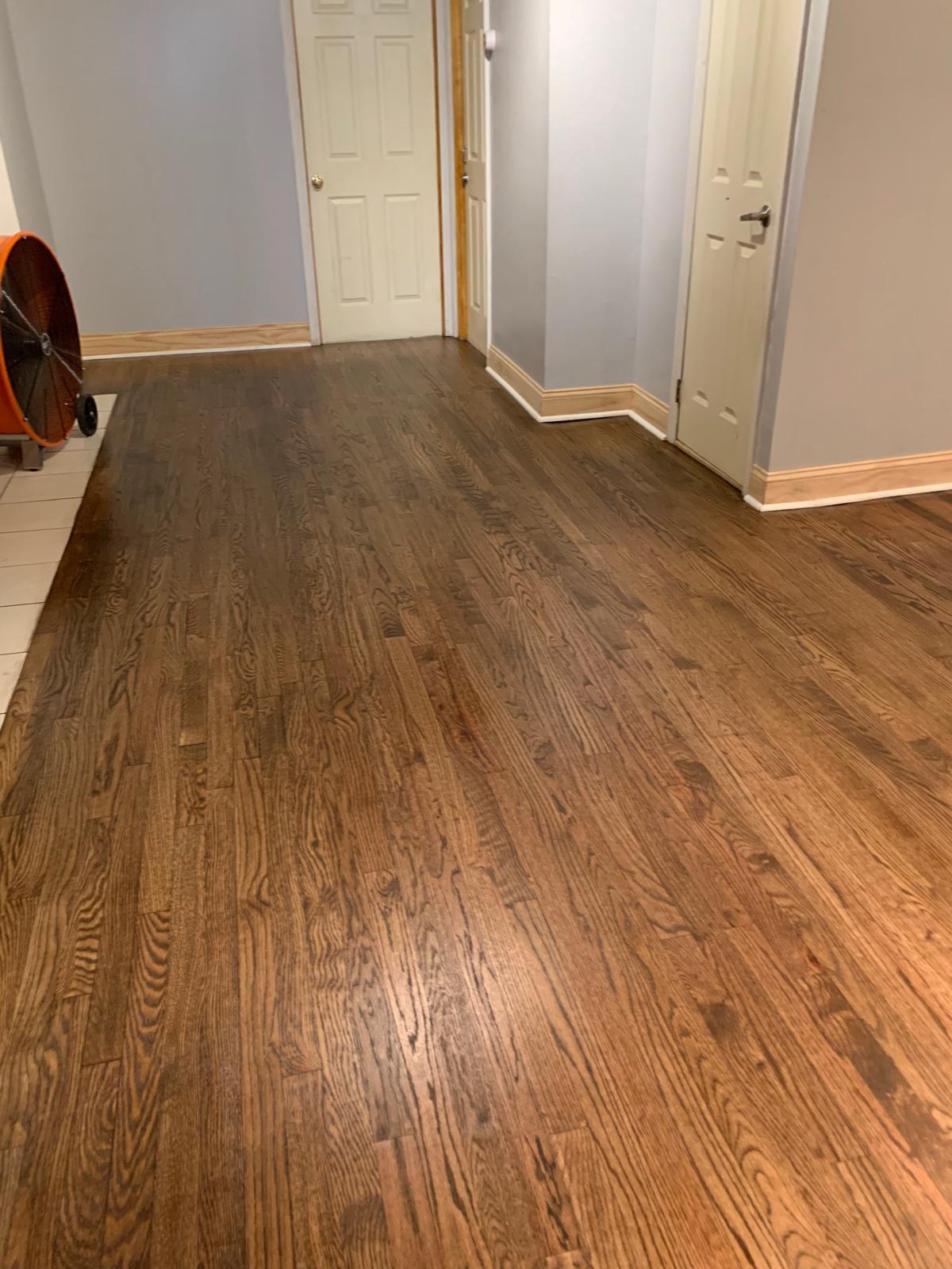 Proyecto de remodelación 43